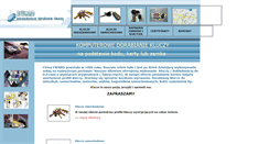 Desktop Screenshot of ewand.com.pl